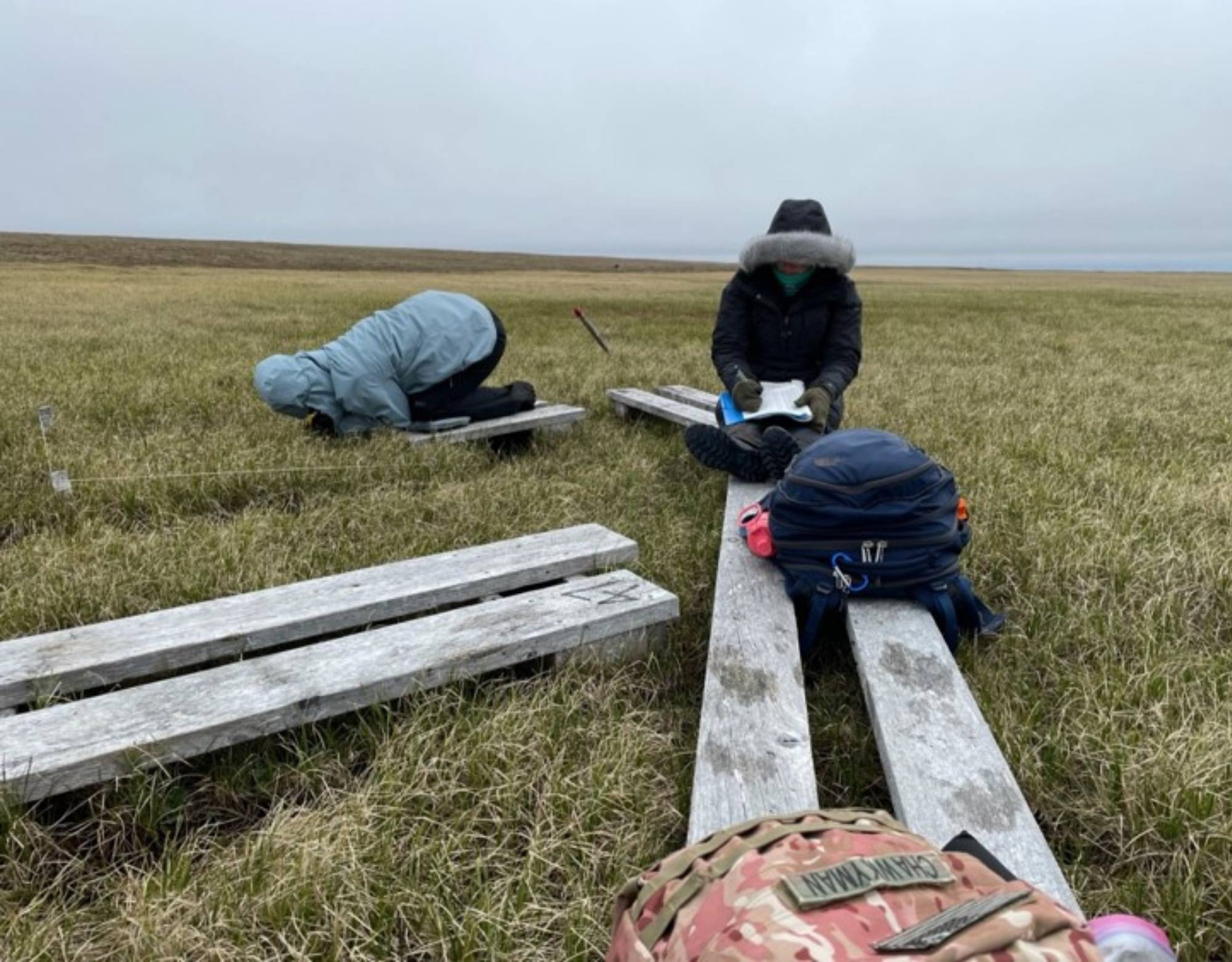 Mackenzie and Nina perform growth measures at the Barrow wet site